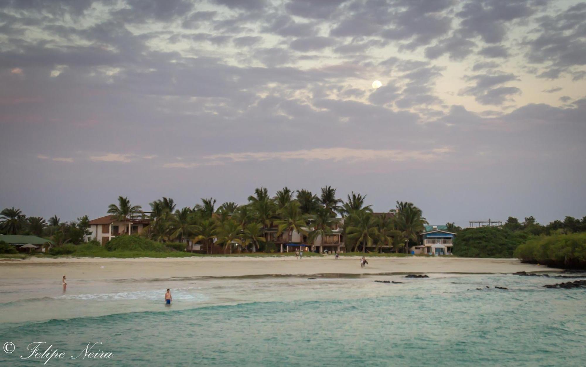 The Isabela Beach House 푸에르토빌라밀 외부 사진