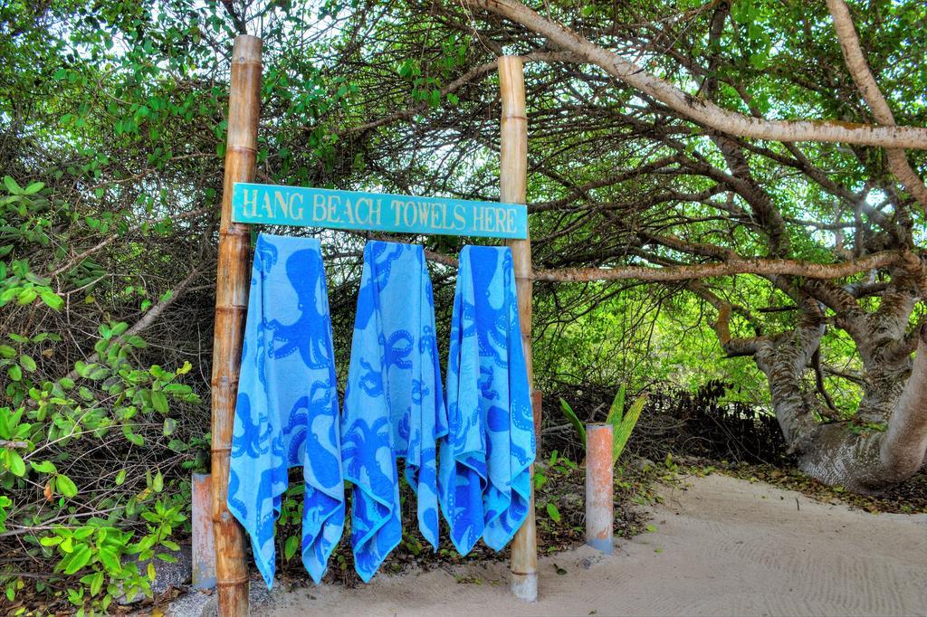 The Isabela Beach House 푸에르토빌라밀 외부 사진